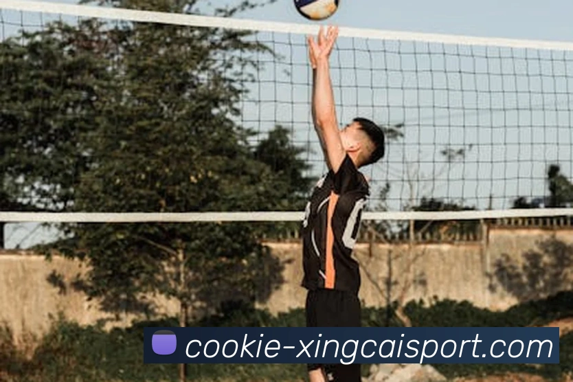 杏彩体育品牌故事