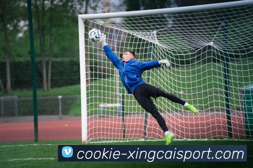 杏彩体育服务体系